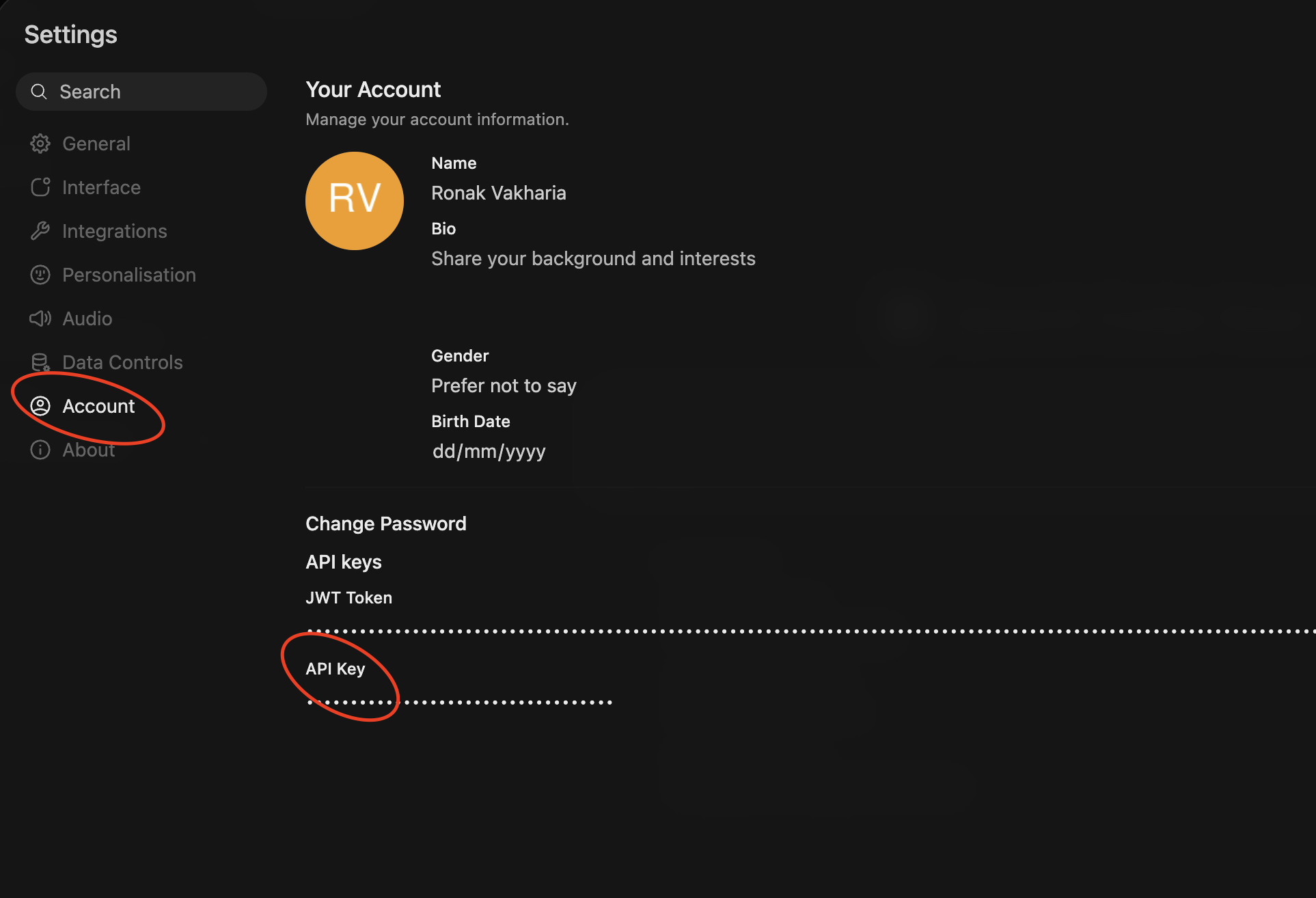 Settings > Account page with the Account tab and API Key field highlighted